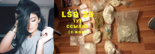 ПСИЛОЦИБИНОВЫЕ ГРИБЫ Арсеньев