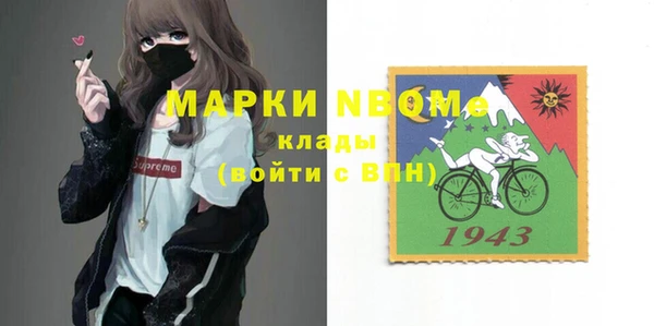 ПСИЛОЦИБИНОВЫЕ ГРИБЫ Арсеньев