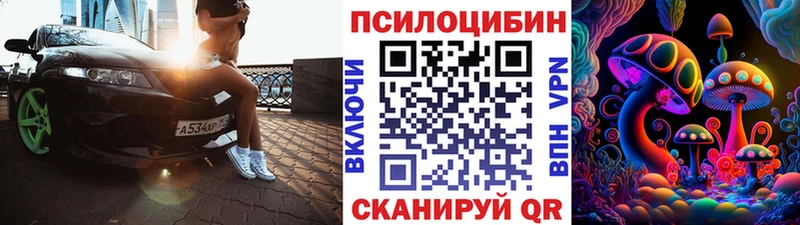 Галлюциногенные грибы Psilocybe  Пыталово 